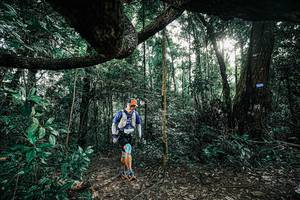 BIB: 
                            <button type="button" onclick="openModal(25390188)" class="btn btn-primary btn-sm float-right btn-popup" data-toggle="modal" data-target=".modal-high-quality">
                        <i class="fas fa-shopping-cart"></i> Add to Cart
                    </button>
                                            <button type="button" onclick="isThisMe(25390188, true)" class="btn btn-success btn-sm float-right btn-popup btn-isme hidden" data-toggle="tooltip" data-placement="bottom" title="นี่คือรูปของคุณใช่ไหม คลิกที่นี่เพื่อเอาเข้าอัลบั้ม">
                        <i class="fas fa-plus"></i> Add to album
                    </button>
                    <button type="button" onclick="isThisMe(25390188, false)" class="btn btn-warning btn-sm float-right btn-popup btn-isnotme hidden">
                        <i class="fas fa-ban"></i> Remove from album
                    </button>